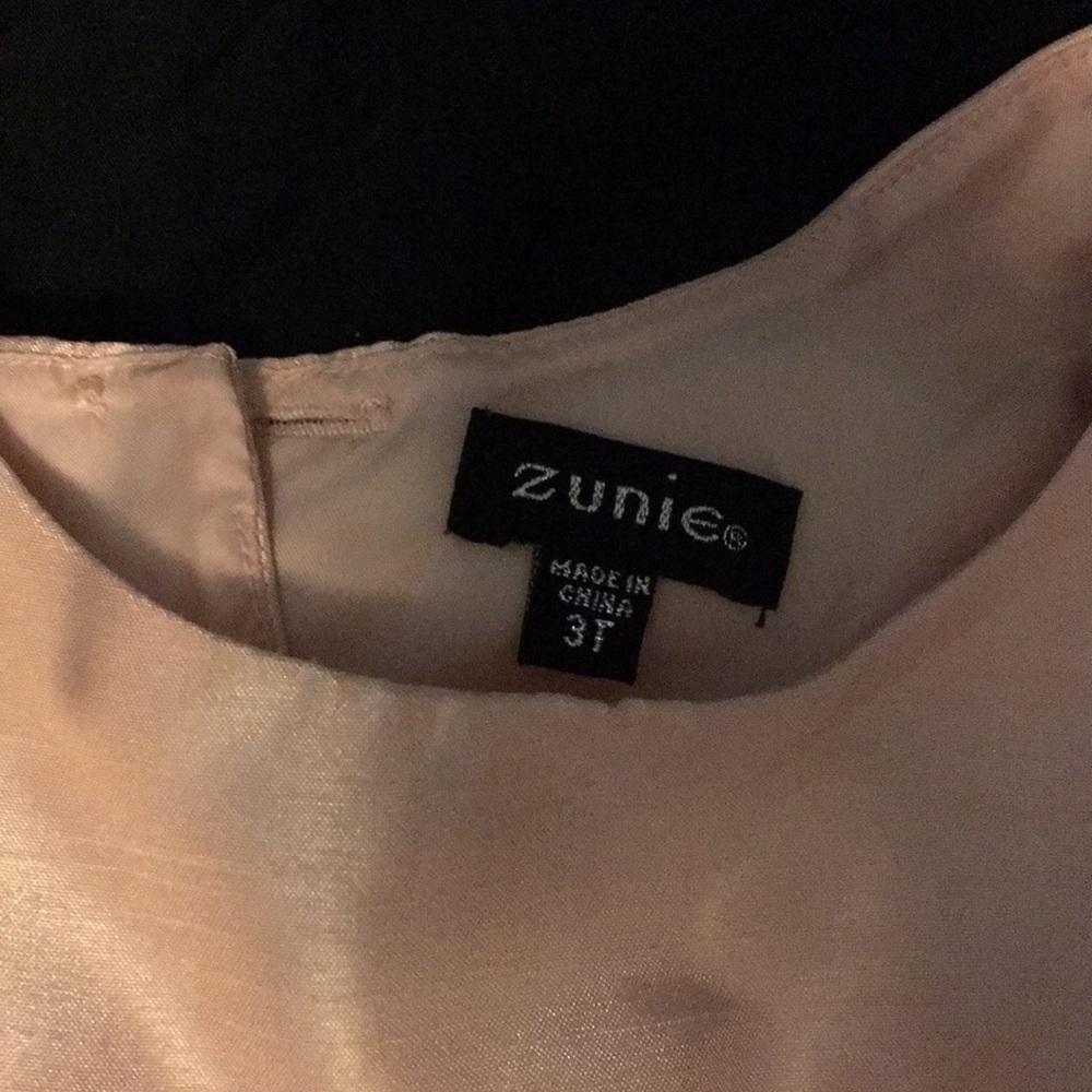 Toddler Size 2 Dress